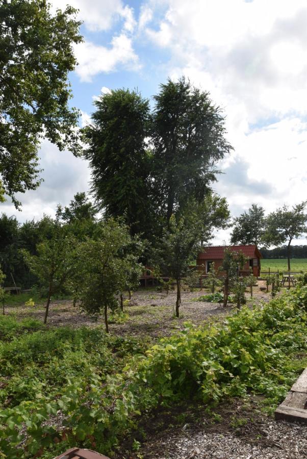 Hoeve Delshorst Heibloem Bagian luar foto