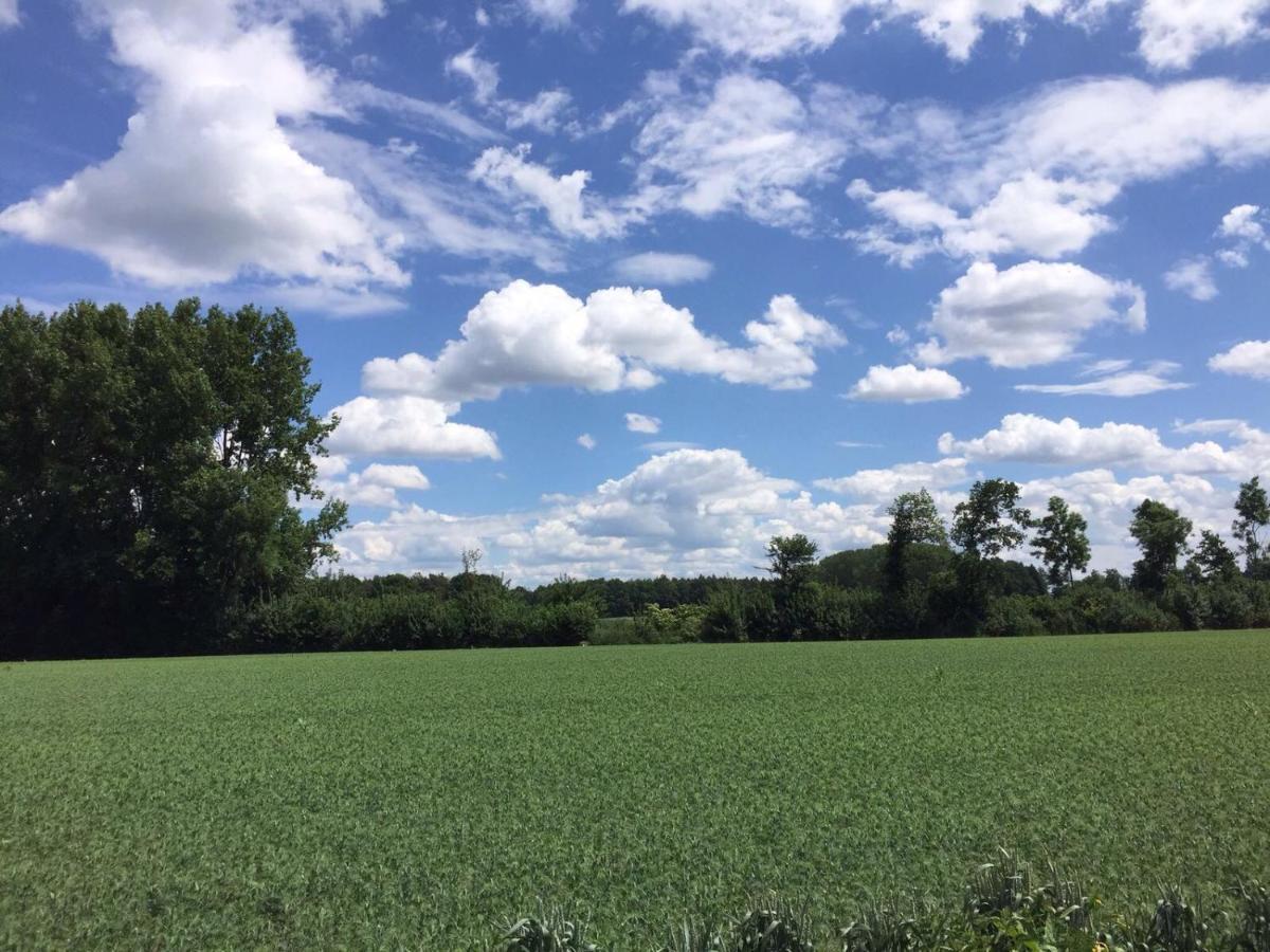 Hoeve Delshorst Heibloem Bagian luar foto