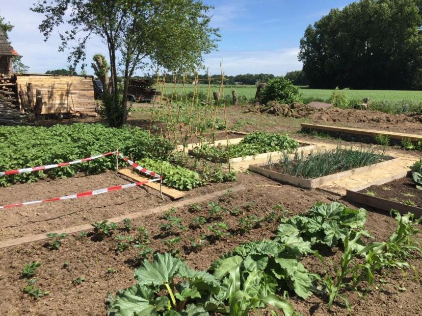 Hoeve Delshorst Heibloem Bagian luar foto