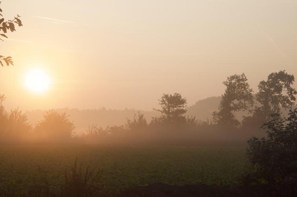 Hoeve Delshorst Heibloem Bagian luar foto